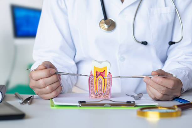 Best Knocked-Out Tooth (Avulsed Tooth) Treatment in Lincolnia, VA
